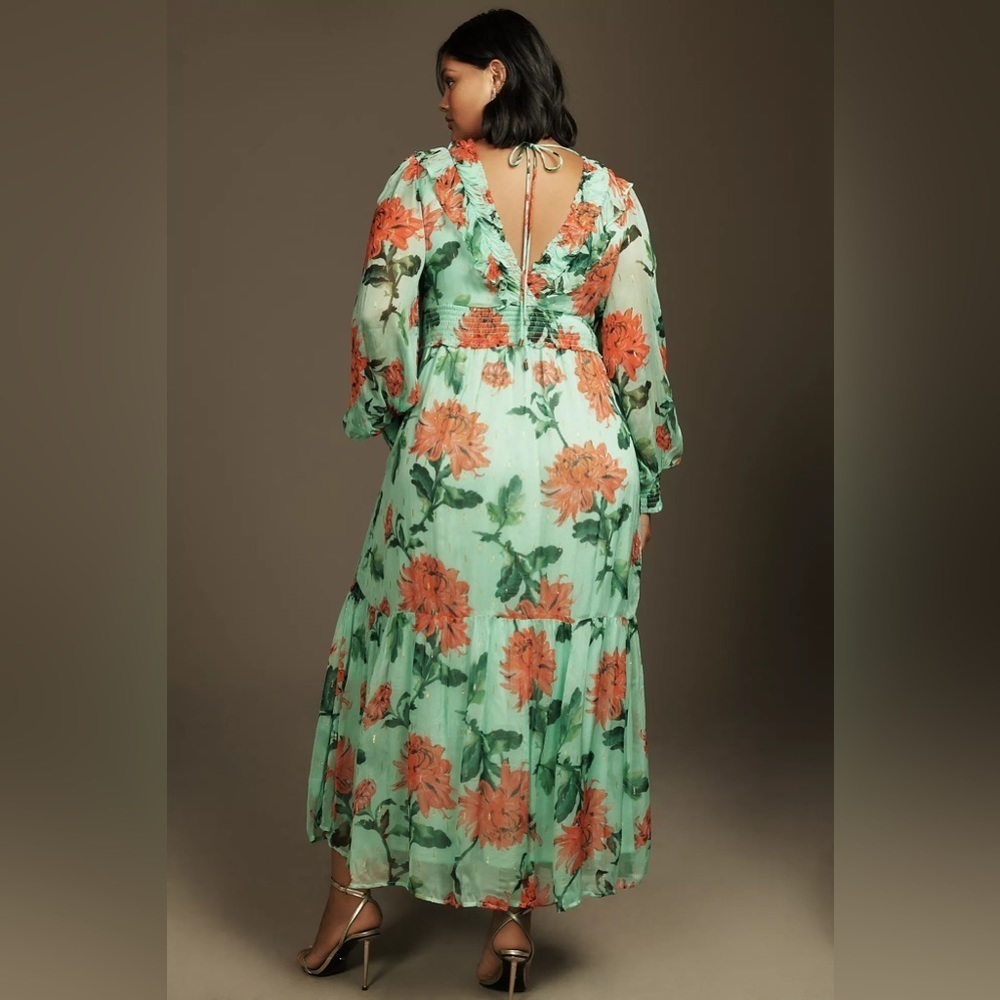 NWT The Odetta Ruffled V-Neck Dress - Picture 4 of 8